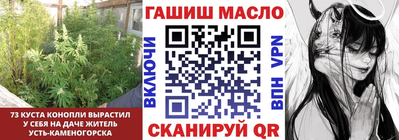 Купить закладки  Николаевск  ТГК гашишное масло 